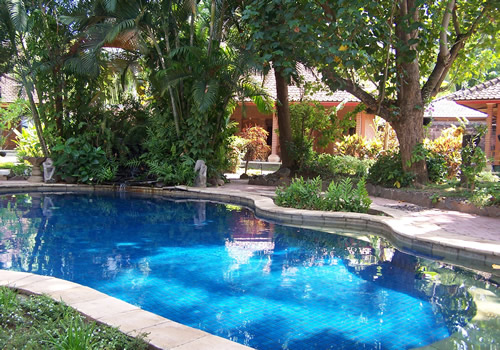 Rambutan pool